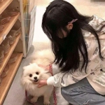 九游神将录移动版游戏下载